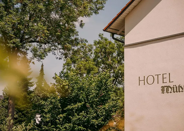 Muehle Hotel 4*